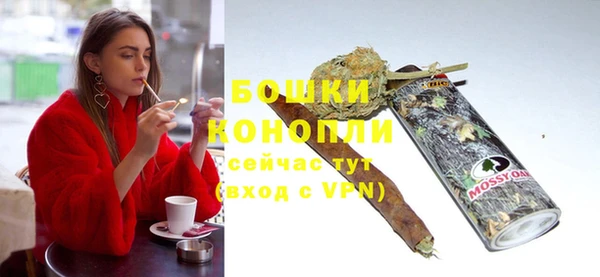 сатива Каменка