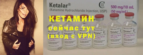 сатива Каменка