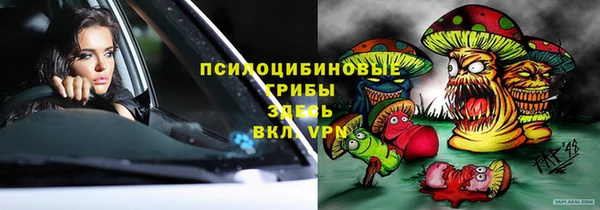 бошки Инсар